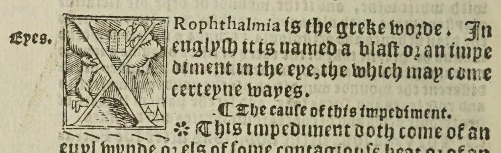 An illustration from The Breviary of Helthe, for all maner of syckenesses and diseases the whiche may be in man, or woman doth folowe, 1547, leaf 288