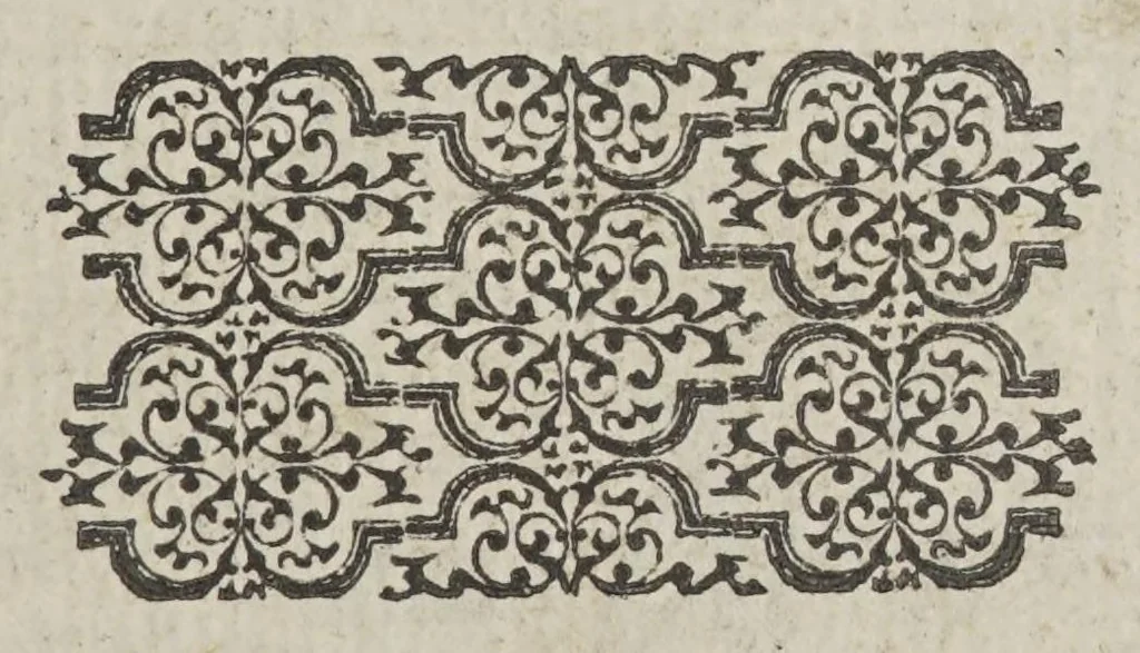 An illustration from Certaine secrete wonders of nature, containing a descriptiõ of sundry strange things, seming monstrous in our eyes and iudgement, bicause we are not priuie to the reasons of them. Gathered out of diuers learned authors as well Greeke as Latine, sacred as prophane, 1569, leaf 133