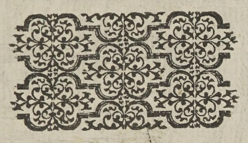 An illustration from Certaine secrete wonders of nature, containing a descriptiõ of sundry strange things, seming monstrous in our eyes and iudgement, bicause we are not priuie to the reasons of them. Gathered out of diuers learned authors as well Greeke as Latine, sacred as prophane, 1569, leaf 73