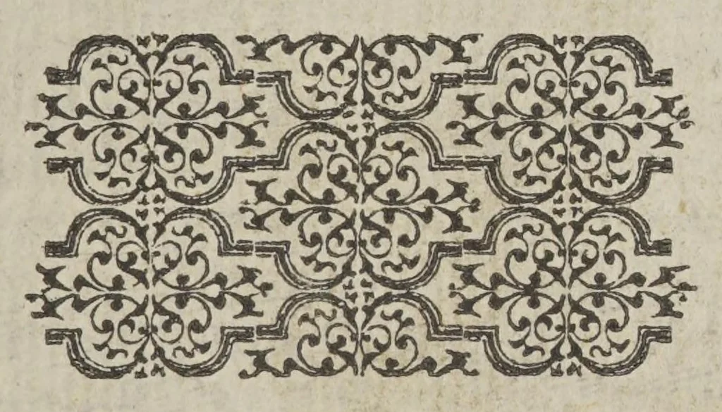 An illustration from Certaine secrete wonders of nature, containing a descriptiõ of sundry strange things, seming monstrous in our eyes and iudgement, bicause we are not priuie to the reasons of them. Gathered out of diuers learned authors as well Greeke as Latine, sacred as prophane, 1569, leaf 77