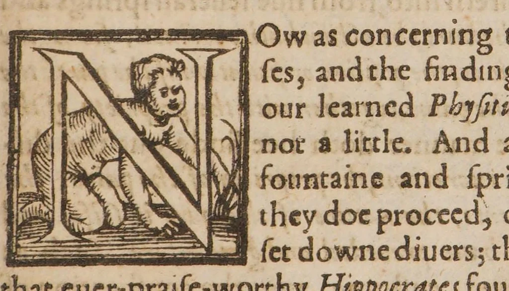 An illustration from The arraignment of urines: wherein are set downe the manifold errors and abuses of ignorant urine-monging empirickes, cozening quacksalvers, women-physitians, and the like stuffe, 1623, leaf 133