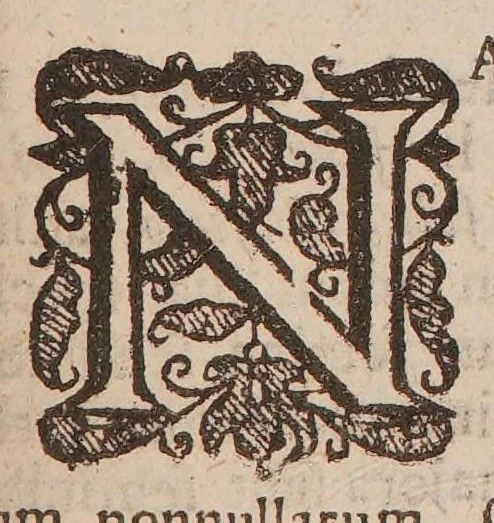 An illustration from Methodus plantarum nova, brevitatis et perspicuitatis causa synoptice in tabulis exhibita. Cum notis generum tum summorum tum subalternorum characteristicis, observationibus nonnullis de seminibus plantarum & indice copioso, 1682, leaf 37