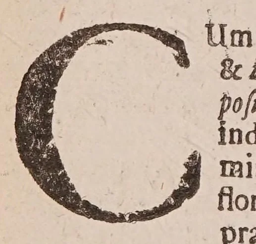 An illustration from Methodus plantarum nova, brevitatis et perspicuitatis causa synoptice in tabulis exhibita. Cum notis generum tum summorum tum subalternorum characteristicis, observationibus nonnullis de seminibus plantarum & indice copioso, 1682, leaf 60