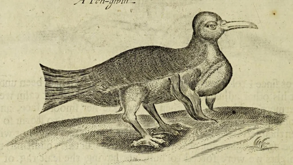 An illustration from Some years travels into divers parts of Africa, and Asia the Great. Describing more particularly the Empires of Persia and Industan ... As also, many ... kingdoms in the oriental India ..., 1677, leaf 24