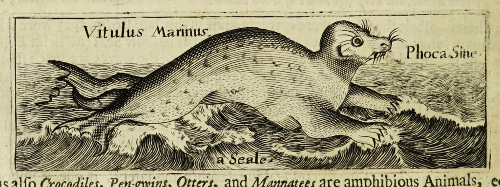 An illustration from Some years travels into divers parts of Africa, and Asia the Great. Describing more particularly the Empires of Persia and Industan ... As also, many ... kingdoms in the oriental India ..., 1677, leaf 24