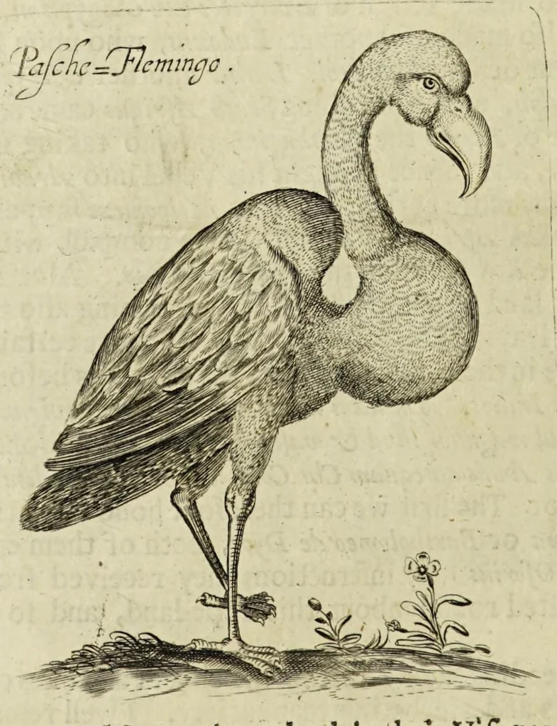 An illustration from Some years travels into divers parts of Africa, and Asia the Great. Describing more particularly the Empires of Persia and Industan ... As also, many ... kingdoms in the oriental India ..., 1677, leaf 28