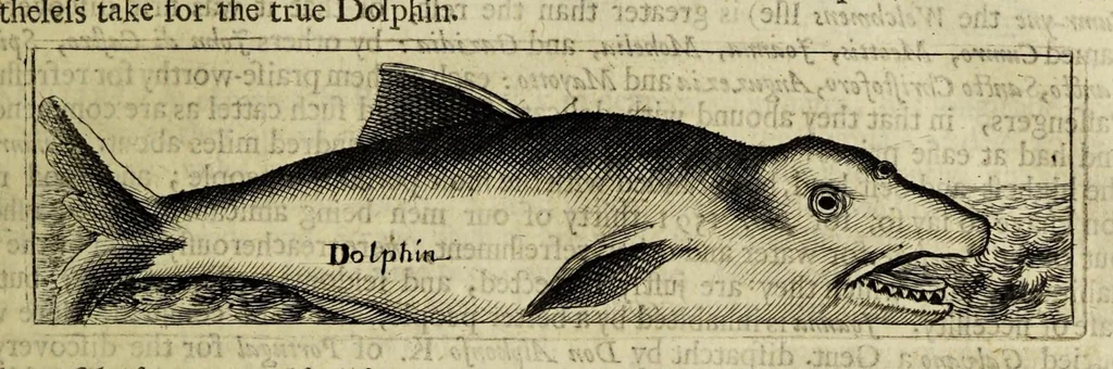 An illustration from Some years travels into divers parts of Africa, and Asia the Great. Describing more particularly the Empires of Persia and Industan ... As also, many ... kingdoms in the oriental India ..., 1677, leaf 37
