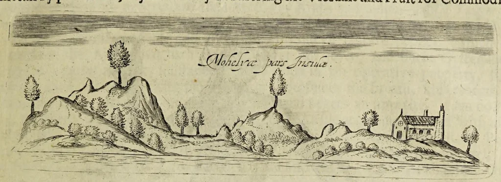 An illustration from Some years travels into divers parts of Africa, and Asia the Great. Describing more particularly the Empires of Persia and Industan ... As also, many ... kingdoms in the oriental India ..., 1677, leaf 39