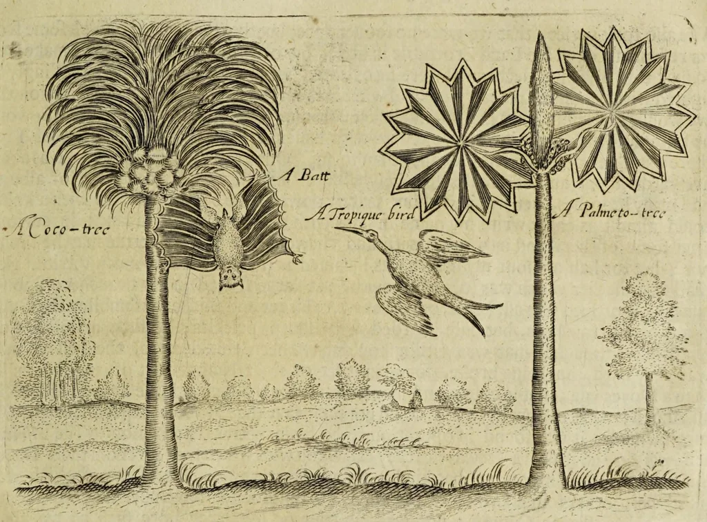 An illustration from Some years travels into divers parts of Africa, and Asia the Great. Describing more particularly the Empires of Persia and Industan ... As also, many ... kingdoms in the oriental India ..., 1677, leaf 397