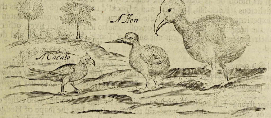 An illustration from Some years travels into divers parts of Africa, and Asia the Great. Describing more particularly the Empires of Persia and Industan ... As also, many ... kingdoms in the oriental India ..., 1677, leaf 399