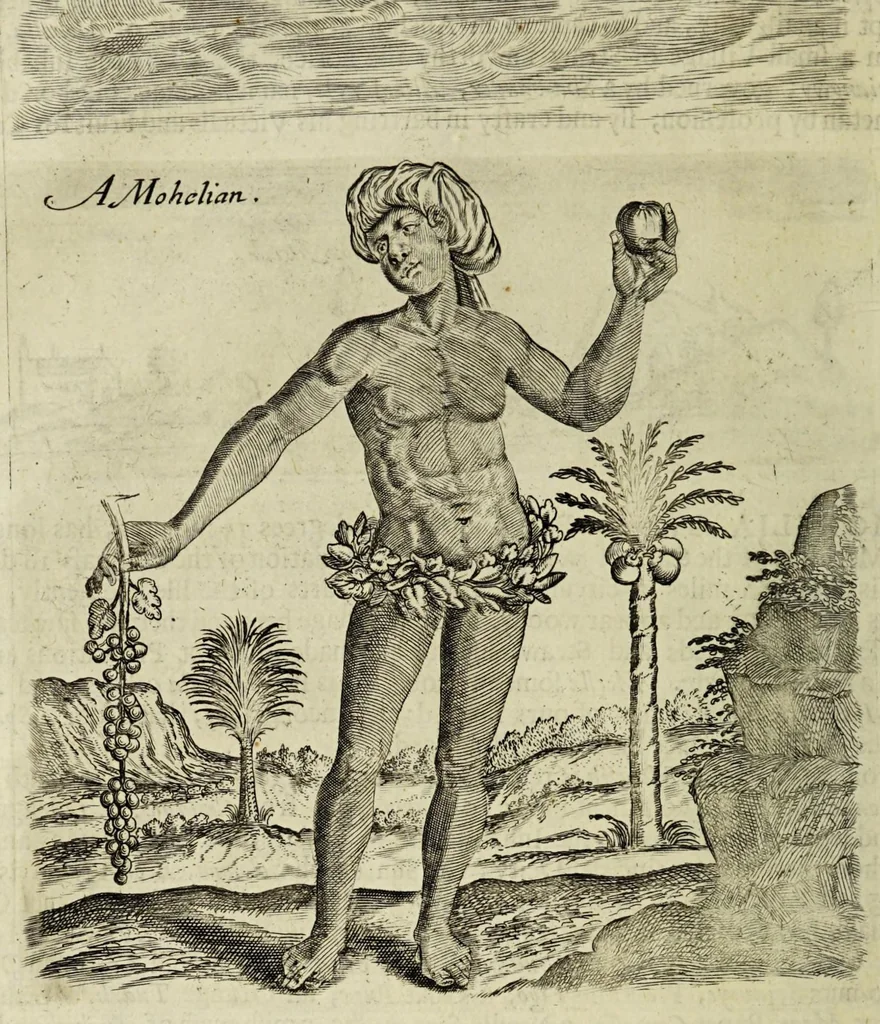 An illustration from Some years travels into divers parts of Africa, and Asia the Great. Describing more particularly the Empires of Persia and Industan ... As also, many ... kingdoms in the oriental India ..., 1677, leaf 40