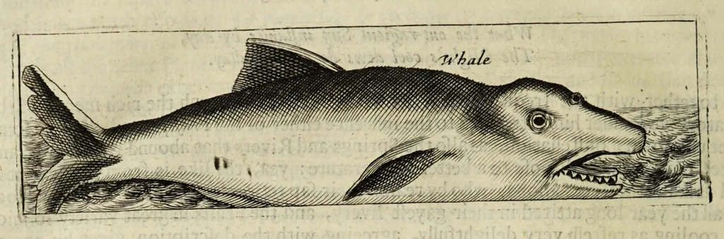 An illustration from Some years travels into divers parts of Africa, and Asia the Great. Describing more particularly the Empires of Persia and Industan ... As also, many ... kingdoms in the oriental India ..., 1677, leaf 406