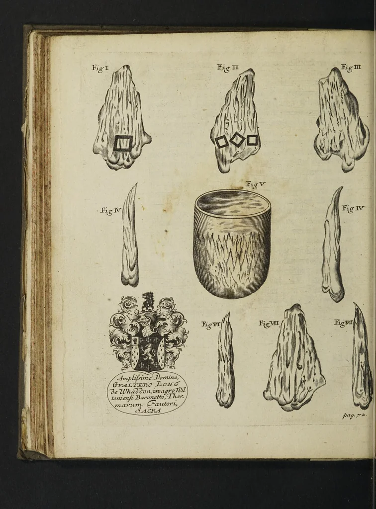 An illustration from De thermis Britannicis tractatus. Accesserunt observationes hydrostaticae, chromaticae & miscellaneae, uniuscujusque balnei apud Bathoniam naturam, proprietatem & distinctionem, curatius exhibentes, 1691, leaf 124