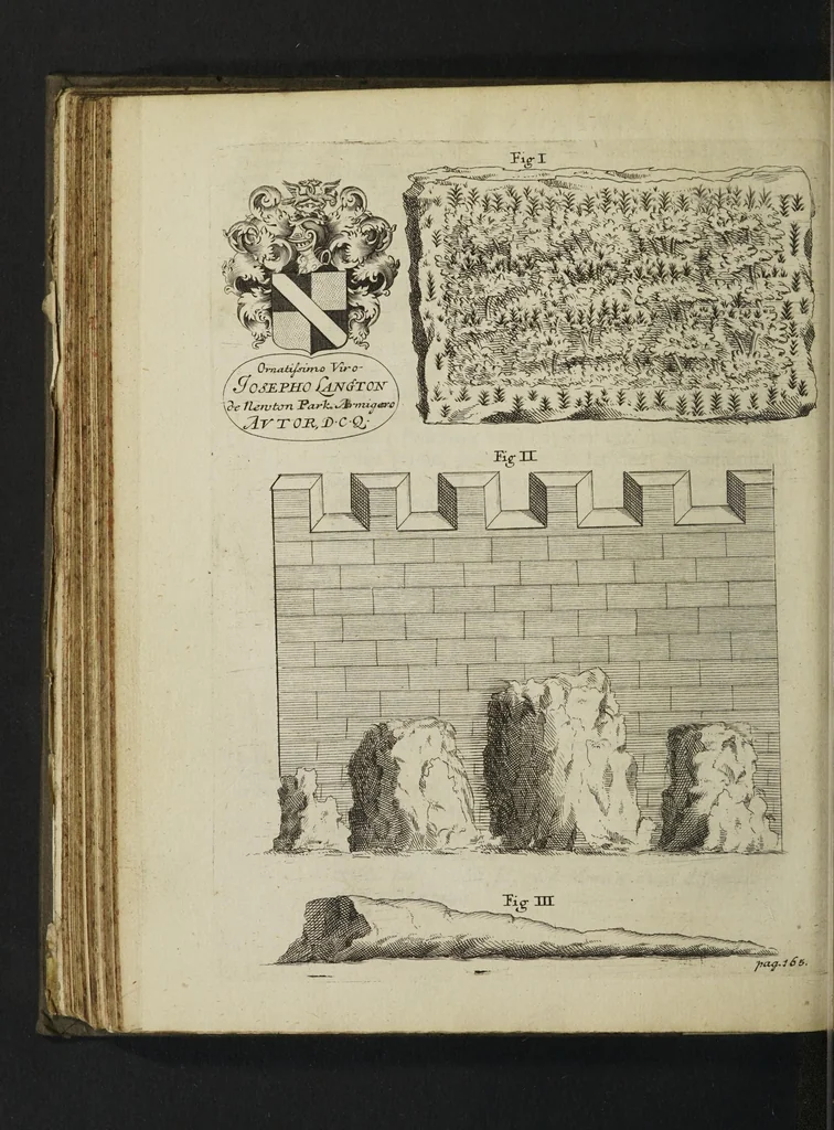 An illustration from De thermis Britannicis tractatus. Accesserunt observationes hydrostaticae, chromaticae & miscellaneae, uniuscujusque balnei apud Bathoniam naturam, proprietatem & distinctionem, curatius exhibentes, 1691, leaf 220