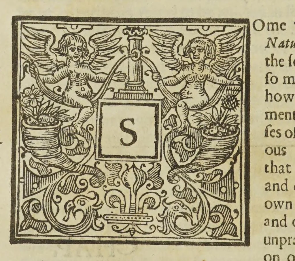 An illustration from Physiologia Epicuro-Gassendo-Charltoniana: or a fabrick of science natural, upon the hypothesis of atoms, 1654, leaf 112