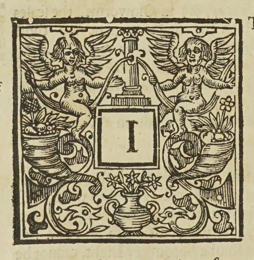 An illustration from Physiologia Epicuro-Gassendo-Charltoniana: or a fabrick of science natural, upon the hypothesis of atoms, 1654, leaf 248