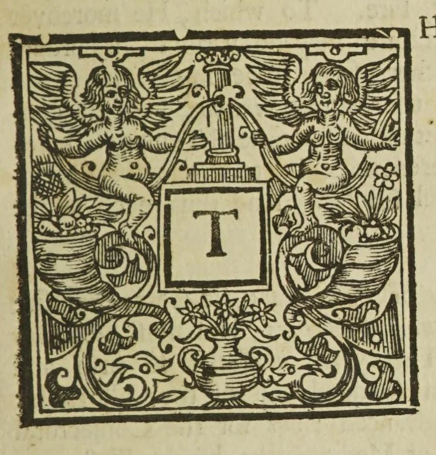 An illustration from Physiologia Epicuro-Gassendo-Charltoniana: or a fabrick of science natural, upon the hypothesis of atoms, 1654, leaf 281