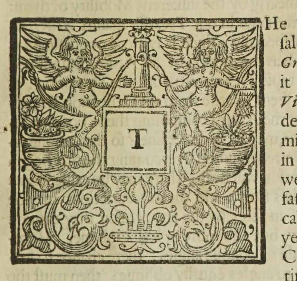 An illustration from Physiologia Epicuro-Gassendo-Charltoniana: or a fabrick of science natural, upon the hypothesis of atoms, 1654, leaf 309