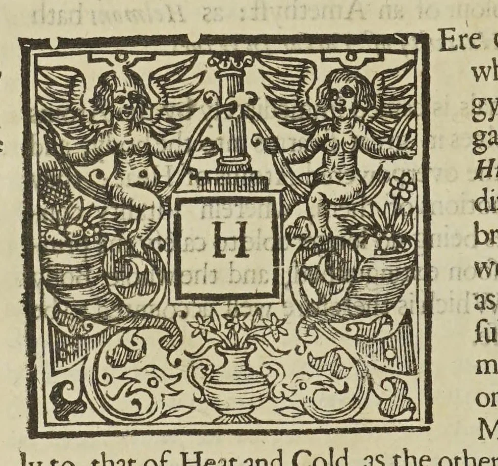 An illustration from Physiologia Epicuro-Gassendo-Charltoniana: or a fabrick of science natural, upon the hypothesis of atoms, 1654, leaf 356