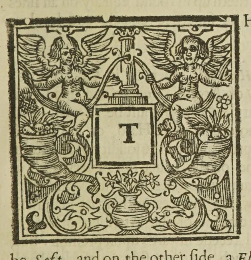 An illustration from Physiologia Epicuro-Gassendo-Charltoniana: or a fabrick of science natural, upon the hypothesis of atoms, 1654, leaf 365