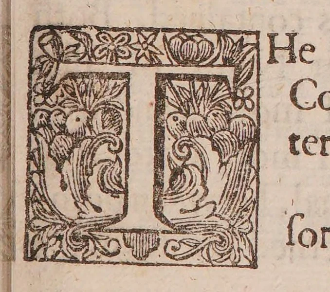 An illustration from A friend to the sick: or, the honest English man's preservation. Shewing the causes, symptoms, and cures of the most occult and dangerous diseases ... With a particular discourse of the dropsie, scurvy, and yellow jaundice ... Whereunto is added, a true relation of some of the ... cures effected by the author's ... cathartique and diuretique pills ..., 1673, leaf 179