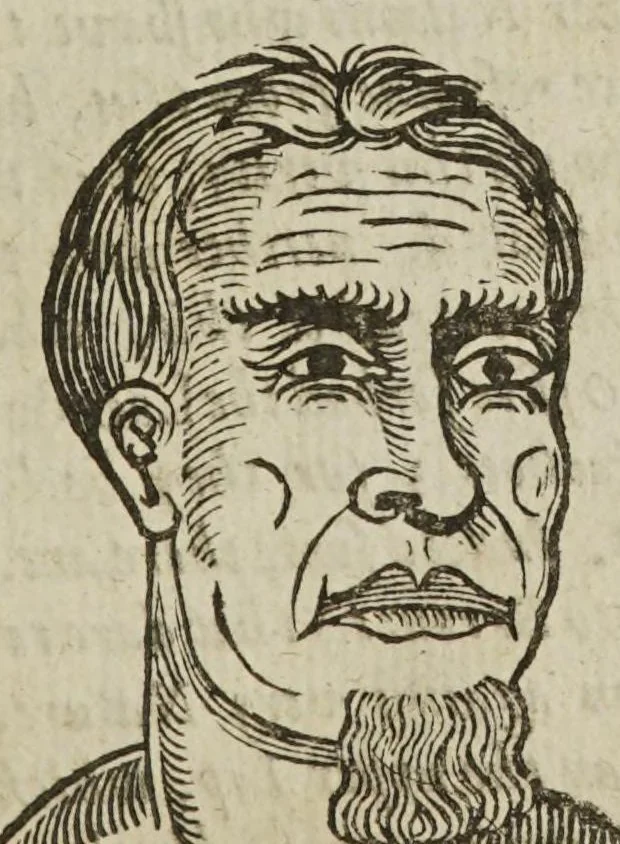 An illustration from Anthropometamorphosis: man transform'd; or, the artificial changeling. Historically presented, in the mad and cruel gallantry, foolish bravery, ridiculous beauty, filthy finenesse, and loathsome lovelinesse of most nations, fashioning and altering their bodies from the mould intended by nature. With a vindication of the regular beauty and honesty of nature. And an appendix of the pedigree of the English gallant, 1653, leaf 255