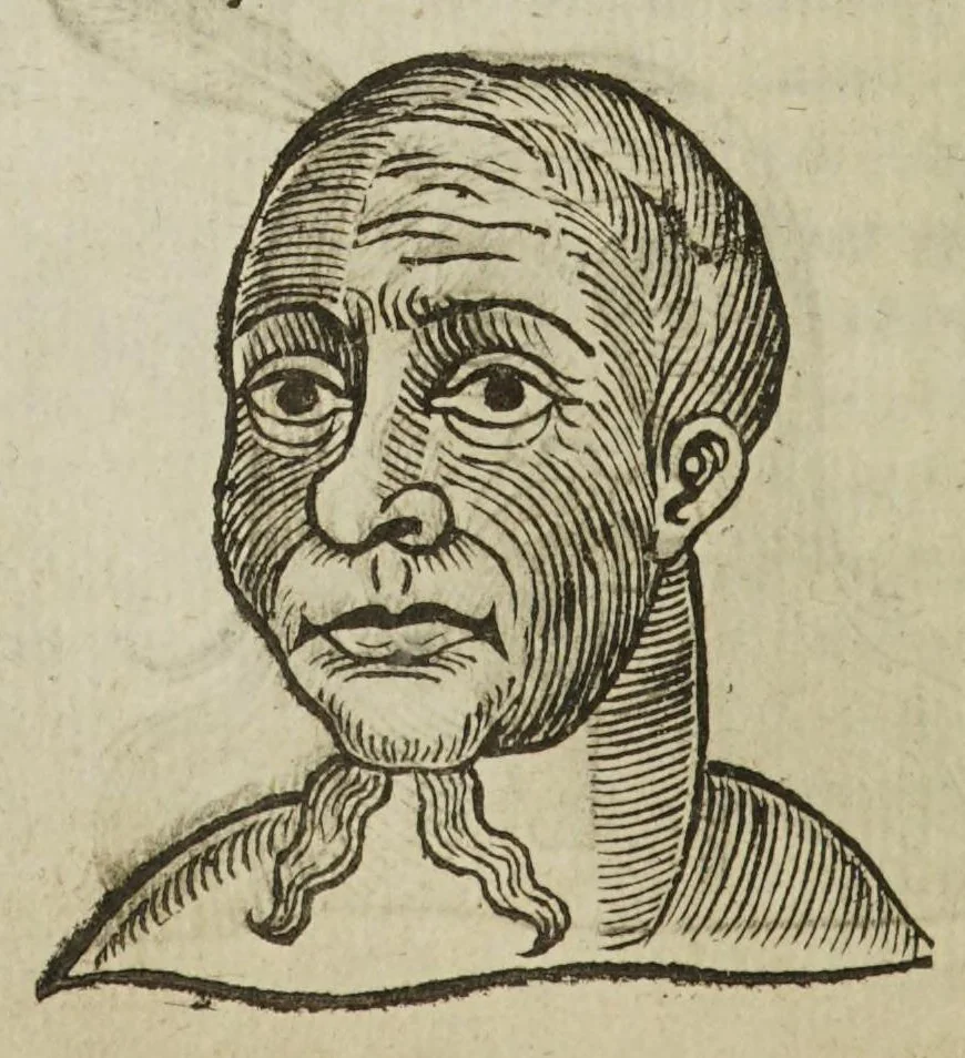 An illustration from Anthropometamorphosis: man transform'd; or, the artificial changeling. Historically presented, in the mad and cruel gallantry, foolish bravery, ridiculous beauty, filthy finenesse, and loathsome lovelinesse of most nations, fashioning and altering their bodies from the mould intended by nature. With a vindication of the regular beauty and honesty of nature. And an appendix of the pedigree of the English gallant, 1653, leaf 262