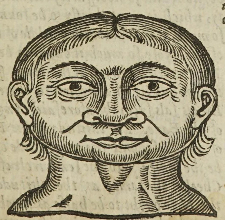 An illustration from Anthropometamorphosis: man transform'd; or, the artificial changeling. Historically presented, in the mad and cruel gallantry, foolish bravery, ridiculous beauty, filthy finenesse, and loathsome lovelinesse of most nations, fashioning and altering their bodies from the mould intended by nature. With a vindication of the regular beauty and honesty of nature. And an appendix of the pedigree of the English gallant, 1653, leaf 299