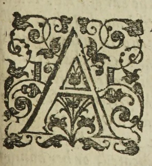 An illustration from Anthropometamorphosis: man transform'd; or, the artificial changeling. Historically presented, in the mad and cruel gallantry, foolish bravery, ridiculous beauty, filthy finenesse, and loathsome lovelinesse of most nations, fashioning and altering their bodies from the mould intended by nature. With a vindication of the regular beauty and honesty of nature. And an appendix of the pedigree of the English gallant, 1653, leaf 405