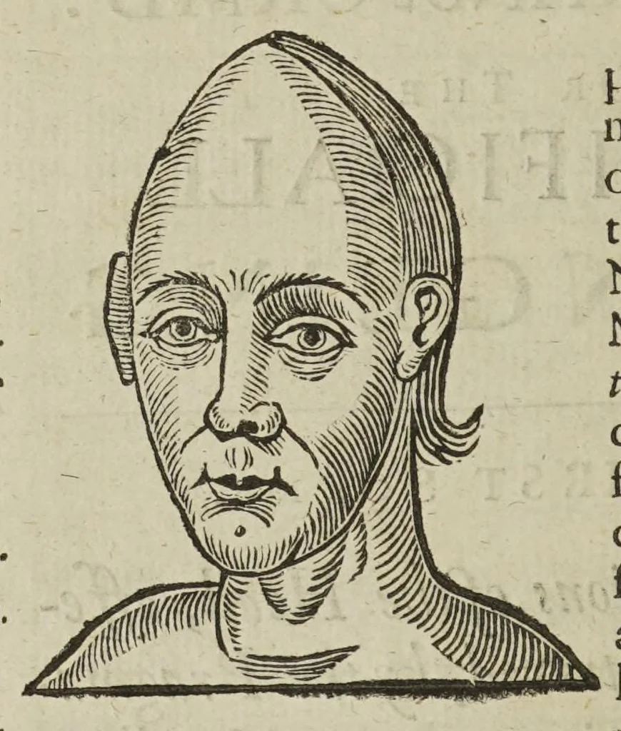 An illustration from Anthropometamorphosis: man transform'd; or, the artificial changeling. Historically presented, in the mad and cruel gallantry, foolish bravery, ridiculous beauty, filthy finenesse, and loathsome lovelinesse of most nations, fashioning and altering their bodies from the mould intended by nature. With a vindication of the regular beauty and honesty of nature. And an appendix of the pedigree of the English gallant, 1653, leaf 60