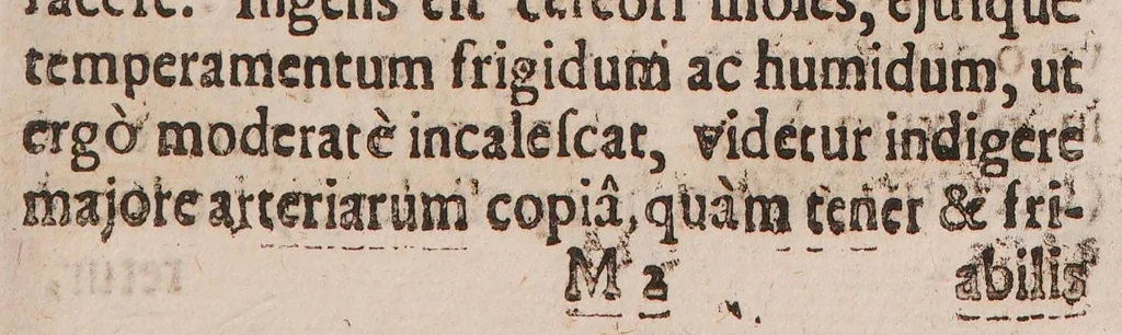 An illustration from Adenographia: sive glandularum totius corporis descriptio ..., 1656, leaf 201