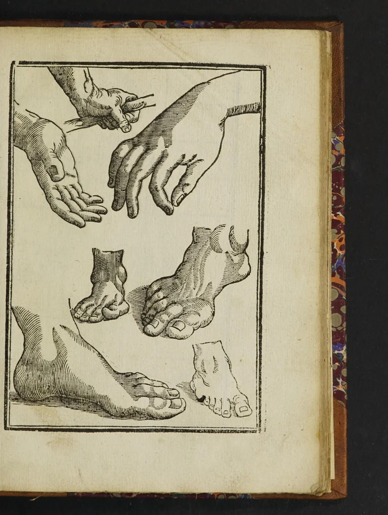 An illustration from The mysteries of nature and art in four severall parts. The first of water-works. The second of fier-works. The third of drawing, colouring, limming, paynting, graving, and etching. The fourth of experiments, 1654, leaf 149