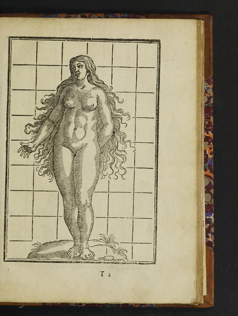 An illustration from The mysteries of nature and art in four severall parts. The first of water-works. The second of fier-works. The third of drawing, colouring, limming, paynting, graving, and etching. The fourth of experiments, 1654, leaf 153