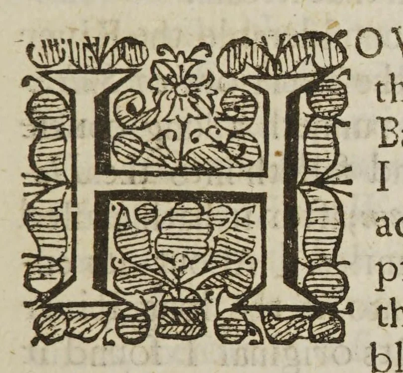 An illustration from A brief account of some travels in Hungaria, Servia, Bulgaria, Macedonia, Thessaly, Austria, Styria, Carinthia, Carniola, and Friuli, as also some observations on the gold, silver, copper, quick-silver mines, baths, and mineral waters in those parts. With the figures of some habits and remarkable places, 1673, leaf 25