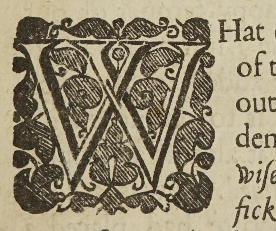 An illustration from Scepsis scientifica: or, confest ignorance, the way to science; in an essay of the vanity of dogmatizing, and confident opinion, 1665, leaf 43