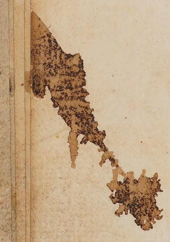 An illustration from Processus integri in morbis ferè omnibus curandis, 1693, leaf 16