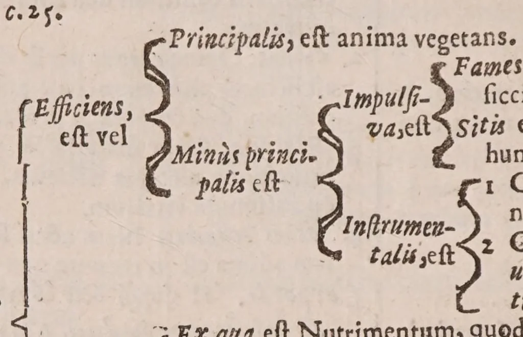 An illustration from Praecepta doctrinae logicae, ethicae, physicae, metaphysicae, sphaericaeque brevibus tabellis compacta: una cum quaestionibus physicae controversis, 1647, leaf 144