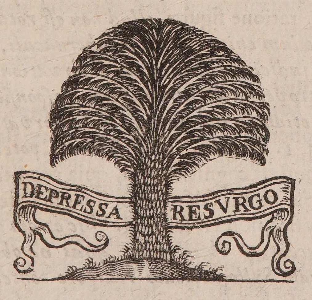 An illustration from Praecepta doctrinae logicae, ethicae, physicae, metaphysicae, sphaericaeque brevibus tabellis compacta: una cum quaestionibus physicae controversis, 1647, leaf 159