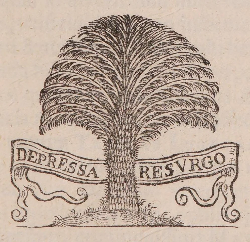 An illustration from Praecepta doctrinae logicae, ethicae, physicae, metaphysicae, sphaericaeque brevibus tabellis compacta: una cum quaestionibus physicae controversis, 1647, leaf 255