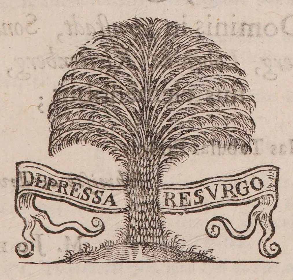 An illustration from Praecepta doctrinae logicae, ethicae, physicae, metaphysicae, sphaericaeque brevibus tabellis compacta: una cum quaestionibus physicae controversis, 1647, leaf 67