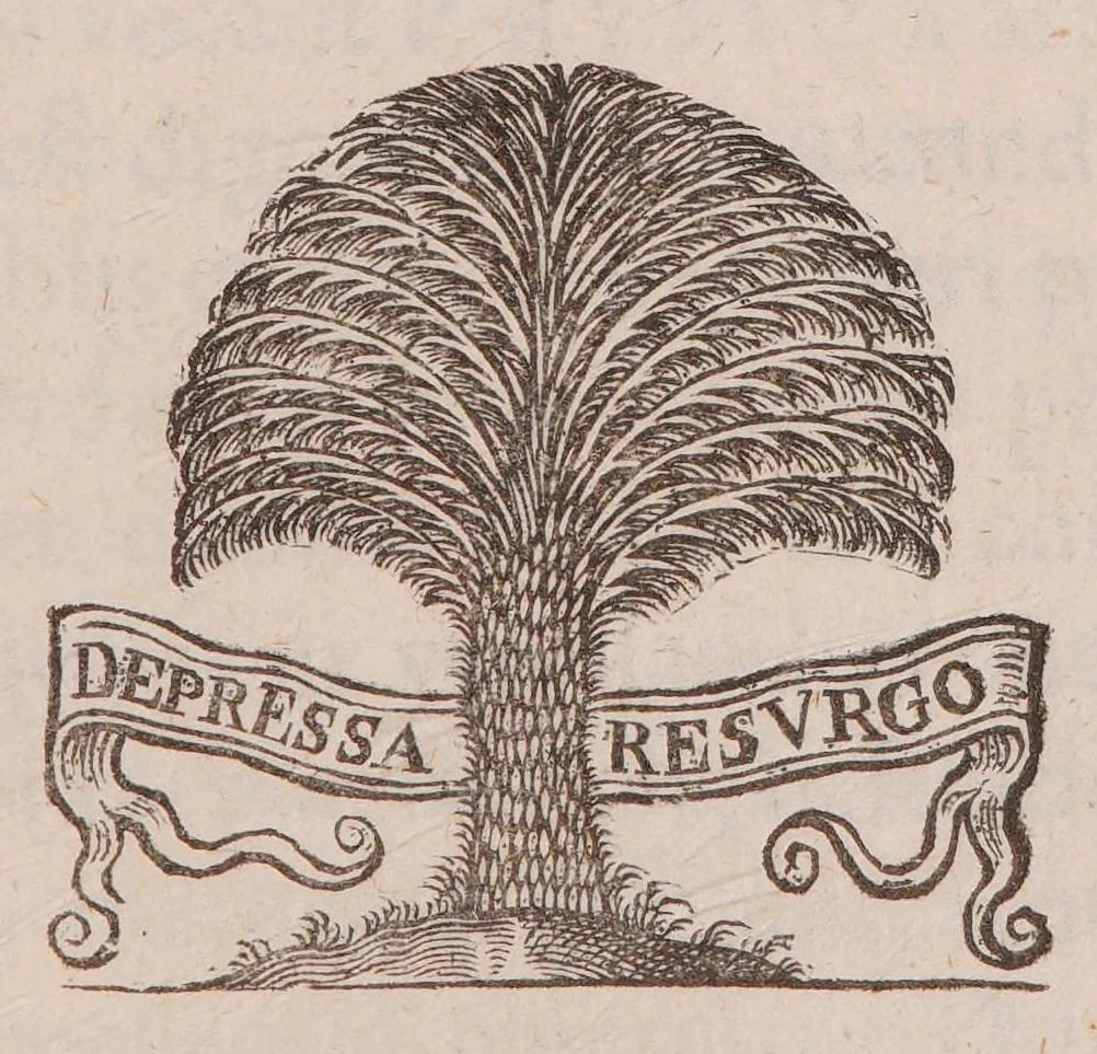 An illustration from Praecepta doctrinae logicae, ethicae, physicae, metaphysicae, sphaericaeque brevibus tabellis compacta: una cum quaestionibus physicae controversis, 1647, leaf 91