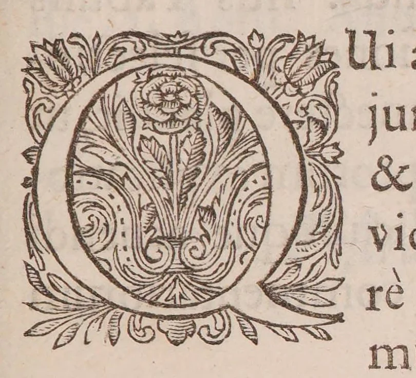An illustration from Praecepta doctrinae logicae, ethicae, physicae, metaphysicae, sphaericaeque brevibus tabellis compacta: una cum quaestionibus physicae controversis, 1647, leaf 93