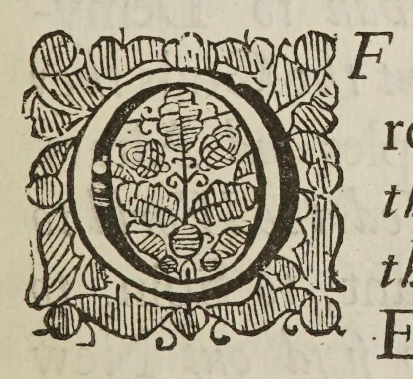 An illustration from The history of the Royal Society of London, for the Improving of Natural Knowledge, 1667, leaf 17