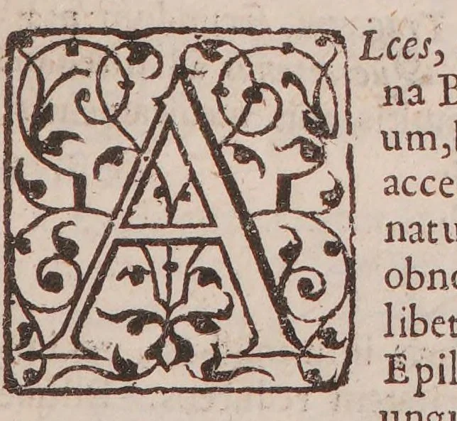 An illustration from Lexicon chymicum. Cum obscuriorum verborum, et rerum hermeticarum, tum phrasium Paracelsicarum, in scriptis ejus: et aliorum chymicorum, passim occurrentium, planam explicationem continens ... [Vita Paracelsi], 1652, leaf 25