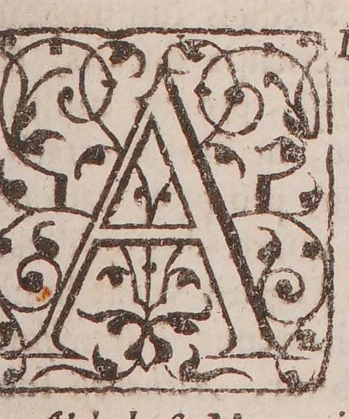 An illustration from Lexicon chymicum. Cum obscuriorum verborum, et rerum hermeticarum, tum phrasium Paracelsicarum, in scriptis ejus: et aliorum chymicorum, passim occurrentium, planam explicationem continens ... [Vita Paracelsi], 1652, leaf 261