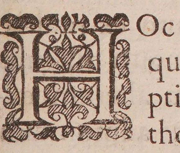 An illustration from Lexicon chymicum. Cum obscuriorum verborum, et rerum hermeticarum, tum phrasium Paracelsicarum, in scriptis ejus: et aliorum chymicorum, passim occurrentium, planam explicationem continens ... [Vita Paracelsi], 1652, leaf 265