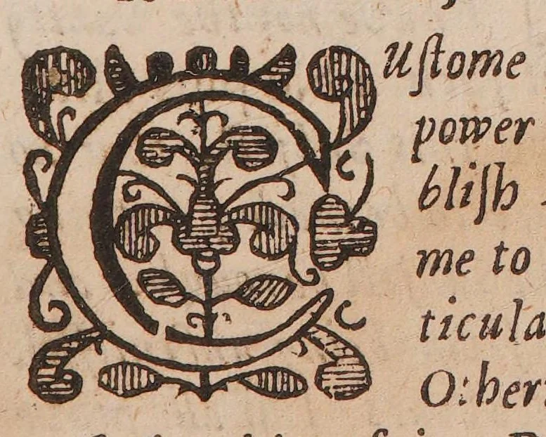 An illustration from A philosophical essay: declaring the probable causes, whence stones are produced in the greater world ... Being a prodromus to a medicinal tract concerning the causes, and cure of the stone in the kidneys, and bladders of men, 1672, leaf 15