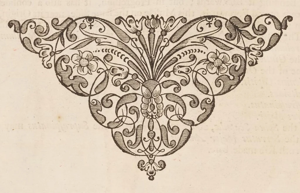 An illustration from The anatomy of humane bodies, with figures drawn after the life ... by some of the best masters in Europe ... and curiously engraven in one hundred and fourteen copper plates, illustrated with large explications, containing many new anatomical discoveries, and chirurgical observations. To which is added an introduction explaining the animal oeconomy. With a copious index, 1698, leaf 119