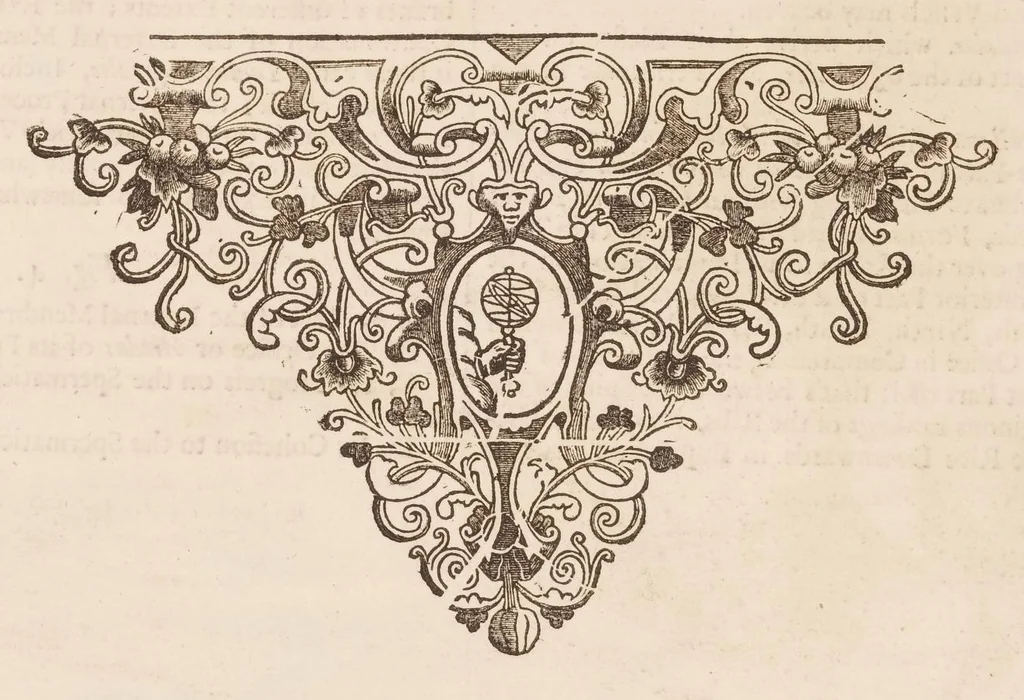 An illustration from The anatomy of humane bodies, with figures drawn after the life ... by some of the best masters in Europe ... and curiously engraven in one hundred and fourteen copper plates, illustrated with large explications, containing many new anatomical discoveries, and chirurgical observations. To which is added an introduction explaining the animal oeconomy. With a copious index, 1698, leaf 131