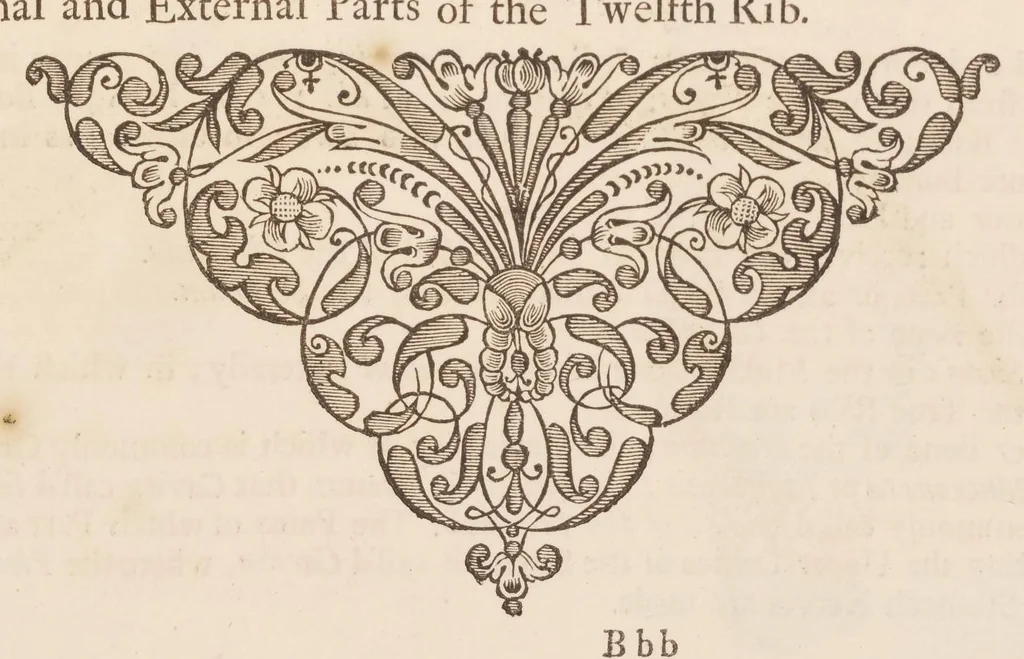 An illustration from The anatomy of humane bodies, with figures drawn after the life ... by some of the best masters in Europe ... and curiously engraven in one hundred and fourteen copper plates, illustrated with large explications, containing many new anatomical discoveries, and chirurgical observations. To which is added an introduction explaining the animal oeconomy. With a copious index, 1698, leaf 316
